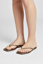 Women's Crocodile Dark Gold Square Toe Casual Stylish Slippers - 5