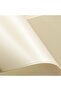 180GSM Ice Gold Paper - 4
