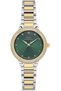 Zeitmeister Rms.1.Ag2165.49 Stoned Design 5 Atm Water Resistant Crystal Glass Metallic-Gold Color Ka
