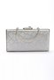 Women's Pointed Toe Short Heeled Evening Dress Shoes and Bag Set - 2