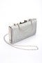 Women's Pointed Toe Short Heeled Evening Dress Shoes and Bag Set - 3