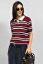 Polo Collar Striped Soft Textured Knitwear - Claret Red - 4