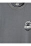 Gray Crew Neck Printed Boy's T-Shirt - 4