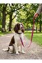Bntmkt-0040-ds-2-2 cat & dog network leash mix 2x120cm - 2