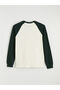 Peak New Season Crew Neck Long Sleeve Color Block Men's T-Shirt - 7