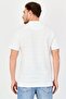 Men Regular Fit Embroidered Logo Short Sleeve Polo Shirt, White - 3