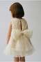 Girls' Cotton Ecru Rose Textured Tulle Dress - 4