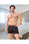 Boxer - 4
