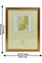FRAMES & DECOR Classic Gold Border Design Photo - Elegant Home and Memorable Gift, 12x16 - 6