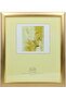 FRAMES & DECOR Certificate Picture Wall-Mounted with Gold 50.8x60.9cm