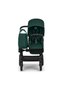 Donkey 6 Complete Black/Green Stroller - 5
