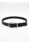 Women's Belt Plus Size Casual Buckle Bridge Detail - 3