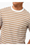 Men Regular Fit Crew Neck Short Sleeves Striped T-shirt - 2