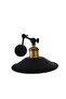Vintage Case Antique Finish 2-Arms Articulated Applique - 4