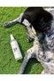 TickFree Natural Coat Shield Spray for Dogs - Citronella & Lemongrass - 250ml - 7