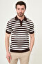 Striped Slim Fit Polo Collar Men's Knitwear T-Shirt Brown - 11582.26Y