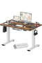 FLEXISPOT EN2 cm Electric Sit Stand Desk - White Frame and Rustic Brown Top