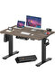 FLEXISPOT EN2 cm Electric Sit Stand Desk with Cable Management - Black Frame and Gray Top