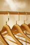 12-Pack Gold Hook Wooden Look Plastic Clothes Hangers, Clothes Hanger 25X44.5X1 - 4