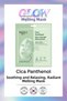 Seoul Face Cica Panthenol Hydrogel Melting Moisturizing Korean Mask 34 Gr 5 Pieces - 2