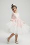 Girl's Tulle Ruffle Design Special Occasion Dress M00793 Pink - 4
