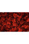 Butterfly Double Color Red Rope Curtain Ready Buttons Sewn Rope Curtain 300*270 cm - 6