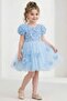 Girl's Rose Tutu Special Occasion Dress Blue - 2
