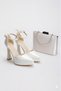 Women's Pointed Toe Platform Evening Dress Shoes and Bag Set