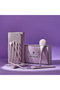 10 Piece Professional Makeup Brush Set (with a Very Stylish Carrying Case)