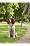 Bntmkt-0041-Ds-2 Cat & Dog Network Leash Mix 1,5X120Cm - 2