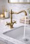 Rustic Antique Sink Faucet with Aries Head Swivel Spout