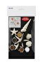 Bs008 Sea Shells Mini Acrylic Painting Set - Painting Kit for Kids