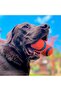 Ultra Tumbler Dog Play Ball - 3