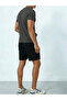Men Round Neck T-Shirt and Shorts Set - 2
