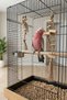 Parrot Toy Chewing and Chewing Set, 2-Piece Jute Rope Natural Wood Stress Reducing Bird Toy