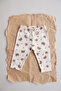 Teddy Bear Printed Baby Combed Cotton Tights
