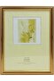 FRAMES & DECOR Classic Gold Border Design Photo - Elegant Home and Memorable Gift, 12x16