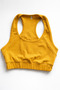 Women's Combed Cotton Sports Bustier Sporty Crop - 3