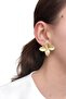 Elegant Floral Design Earrings - 2