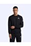 Talie Crewneck Men's Black Regular Sweatshirt - 2