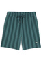Class 8" Shorts - 4