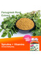 Spirulina + Vitamins Fine’s Gummies - 4
