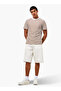 Men Regular Fit Crew Neck Short Sleeves Striped T-shirt - 3