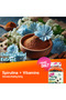 Spirulina + Vitamins Fine’s Gummies - 5