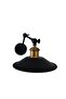 Vintage Case Antique Finish 2-Arms Articulated Applique - 3