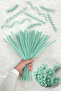 100 Pieces Mint Chenille 30cm, Fuzzy Plush Velvet Wire, Handicraft, Flower, Gift, Decoration, School, Event