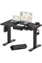 FLEXISPOT EN2 cm Electric Sit Stand Desk with Cable Management - Black Frame and Top