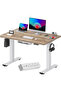 FLEXISPOT EN2 cm Electric Sit Stand Desk with Cable Management - White Frame and Oak Top