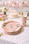Rapunzel Themed Salmon Cardboard Plate and Cup Set of 8