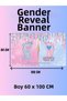 Girl or Boy Gender Themed Custom Gender Banner Backdrop 60X100 Vinyl Tarpaulin Banner Decoration - 6